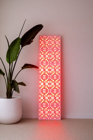 The Radiance960 full body red light panel against a wall in bedroom with palm tree, the power is on and all LEDs are glowing.