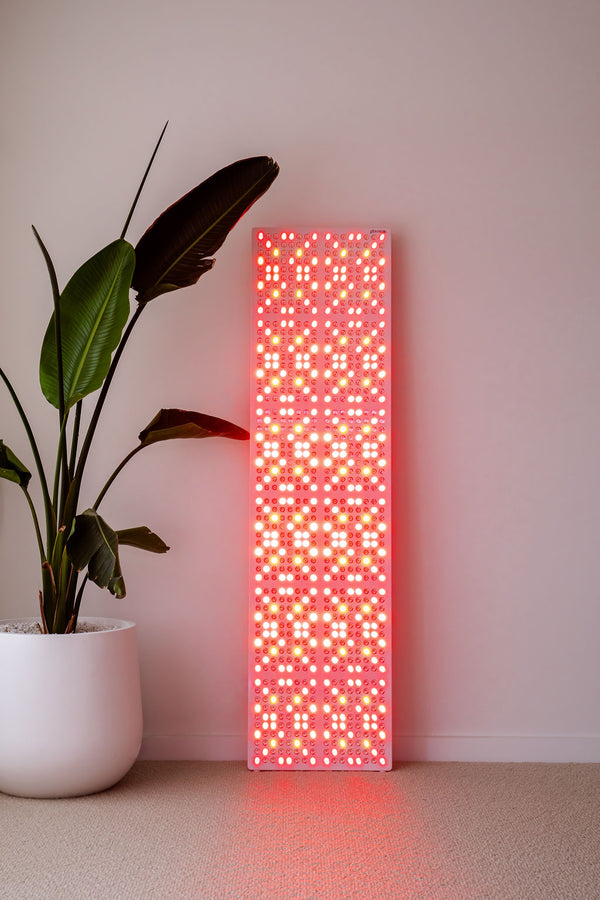 The Radiance960 full body red light panel against a wall in bedroom with palm tree, the power is on and all LEDs are glowing.