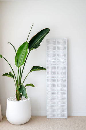 The Radiance960 full body red light panel against a wall in bedroom with palm tree, the power is not on.