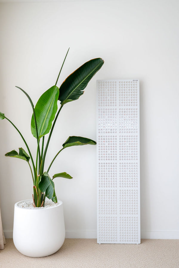 The Radiance960 full body red light panel against a wall in bedroom with palm tree, the power is not on.