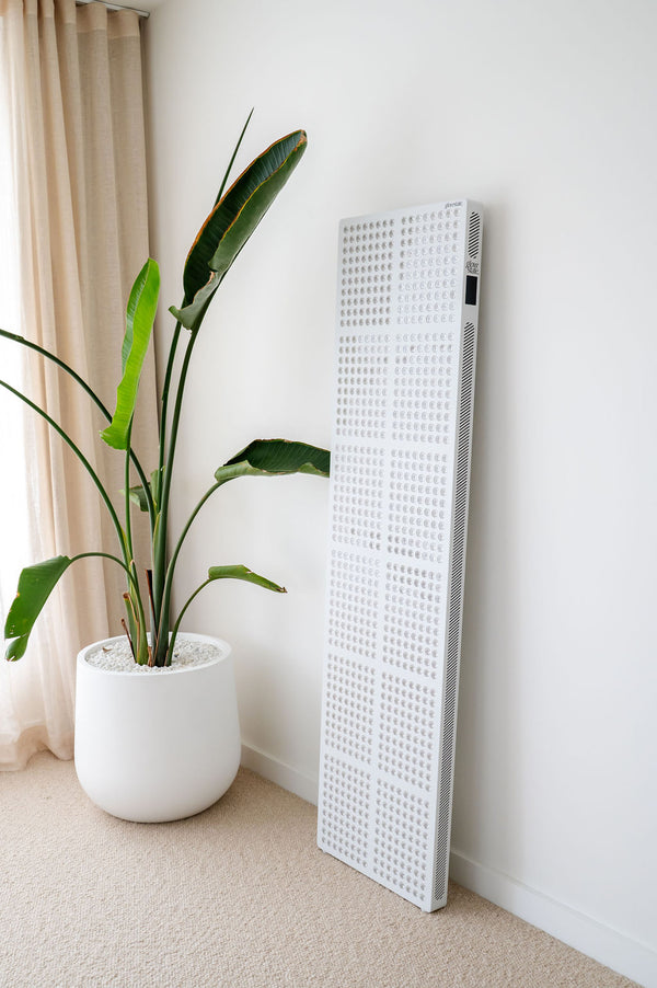 The Radiance960 full body red light panel against a wall in bedroom with palm tree showing side view, the power is not on.